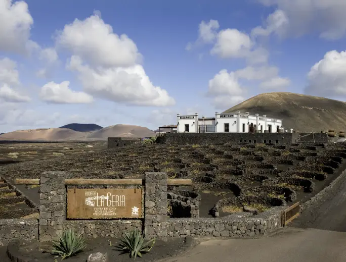 Gastronomy, Music, Poetry & Wine – Bodega La Geria (Vinopoesía 2025)