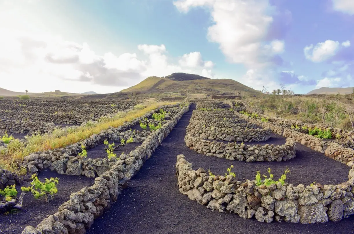 Hiking, Poetry & Wine – Bodegas Guiguan (Vinopoesía 2025)