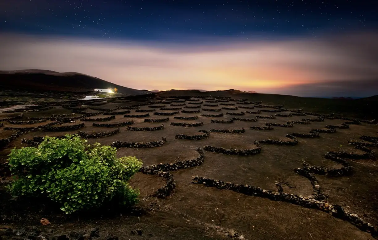 Hiking, Poetry & Wine – Bodegas Guiguan (Vinopoesía 2025) photo 2
