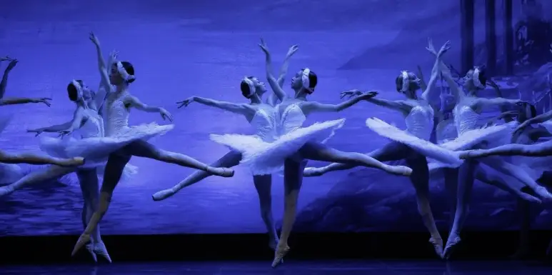 Swan Lake – Ballet at Teatro Víctor Fernández Gopar “El Salinero” 🩰
