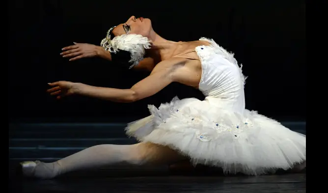 Swan Lake – Ballet at Teatro Víctor Fernández Gopar “El Salinero” 🩰 photo 3