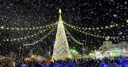 Christmas Lights & Installations at Charco de San Ginés (Navilan) photo 2