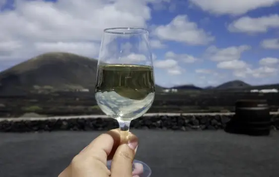 IV Festival del Descorche – Tías 2025 photo 2