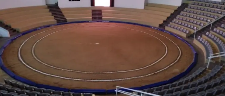 IV Festival del Descorche – Tías 2025 photo 3