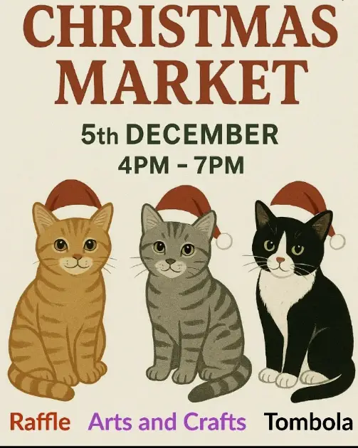 Christmas Market – Costa Cats Charity Fundraiser