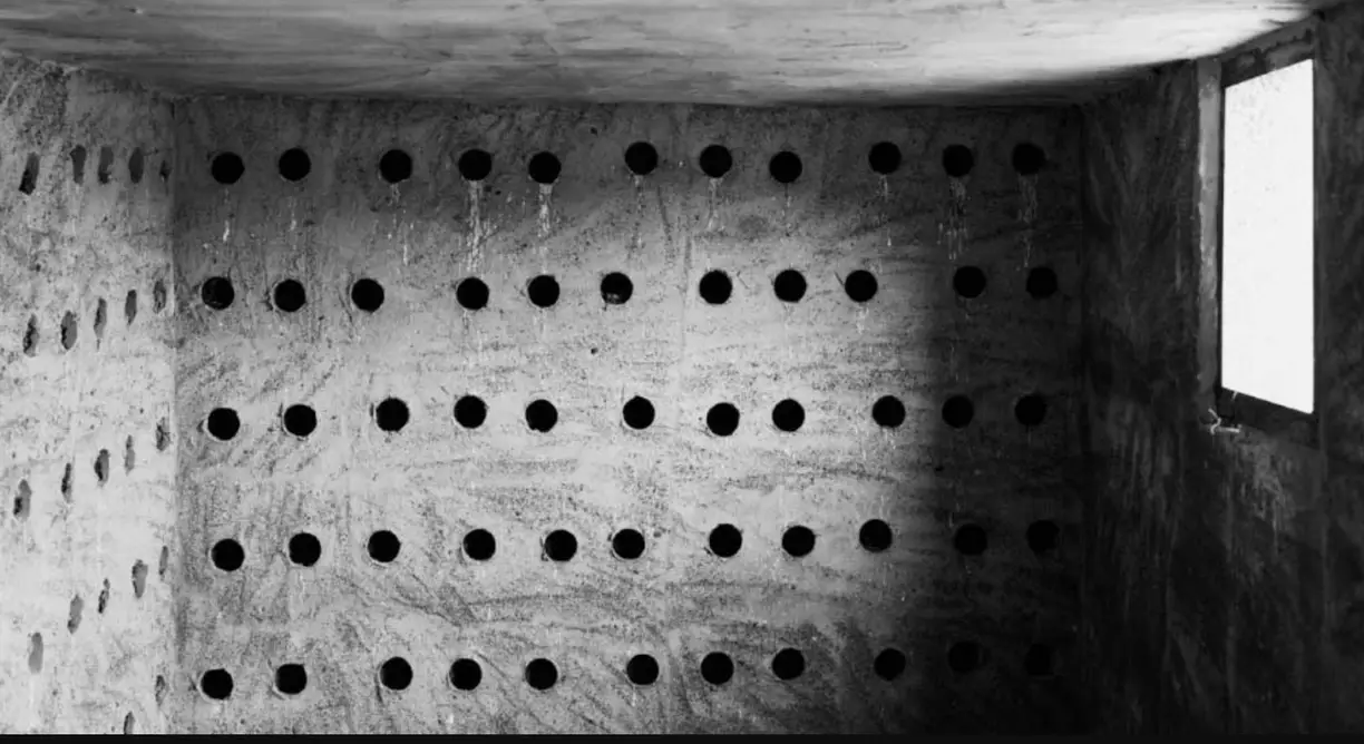 Earthly Happiness (Daniel L. Fleitas) — CIC El Almacén (Arrecife)