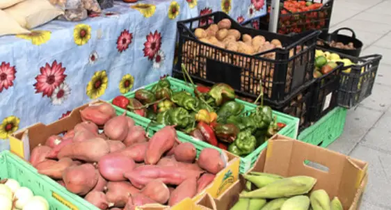Farmers Market — Costa Teguise photo 3
